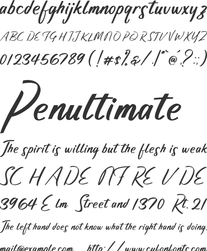 Anjali Script Font font preview