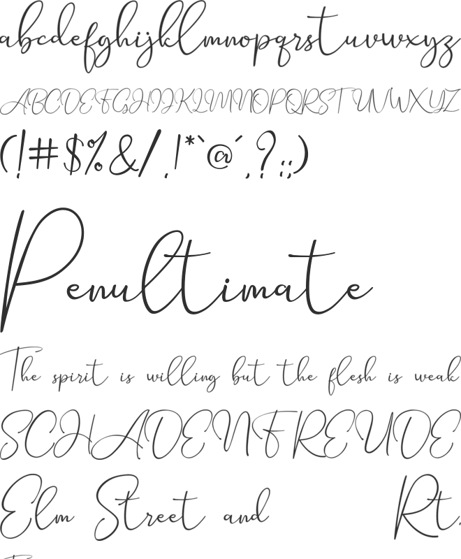 Seattle Script Demo font preview