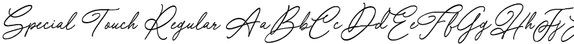 Special Touch Regular font
