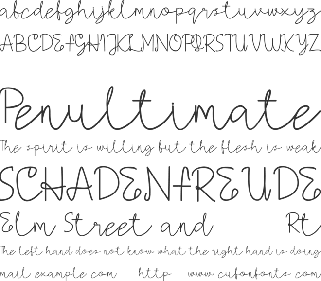 AMORICA SCRIPT DEMO font preview