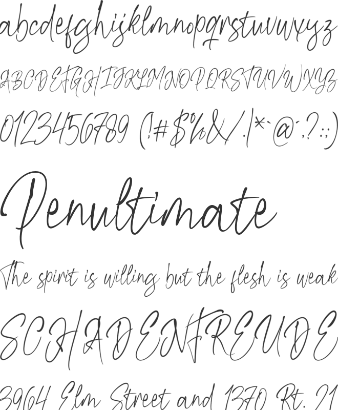 Kiysoom Signature font preview