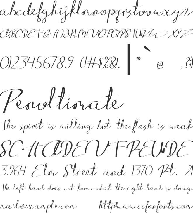 Baligraphy font preview