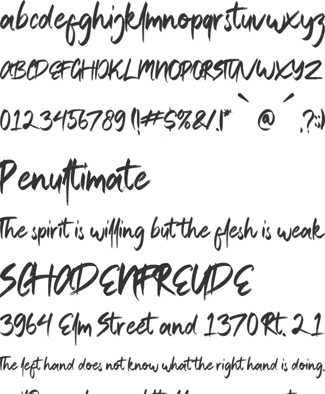 Bridgestorm font preview