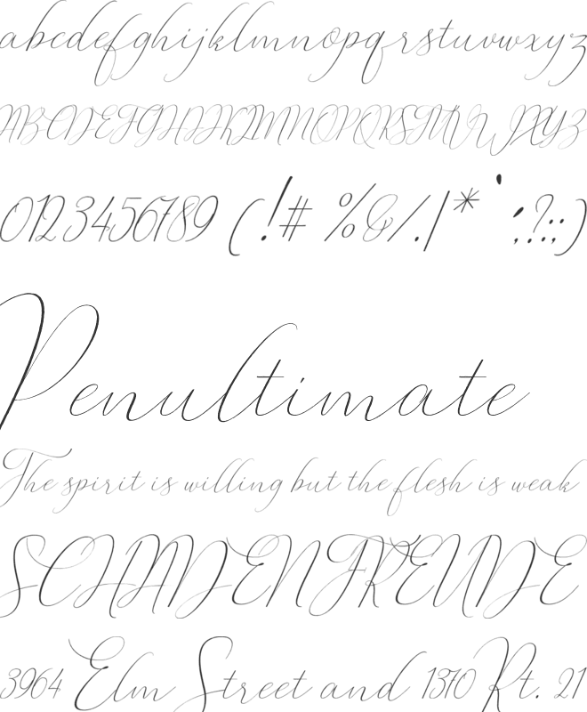 Oliverra font preview