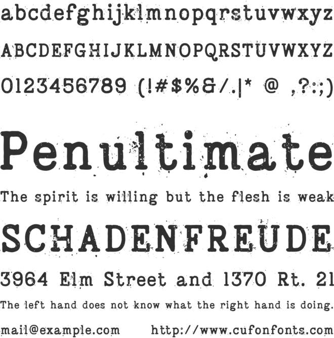 Bygonest Typewriter font preview