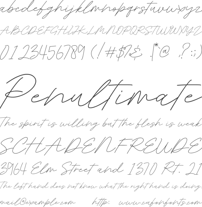 Kingsley Roman font preview