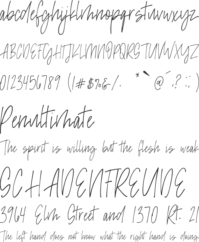 Madison Avenue font preview