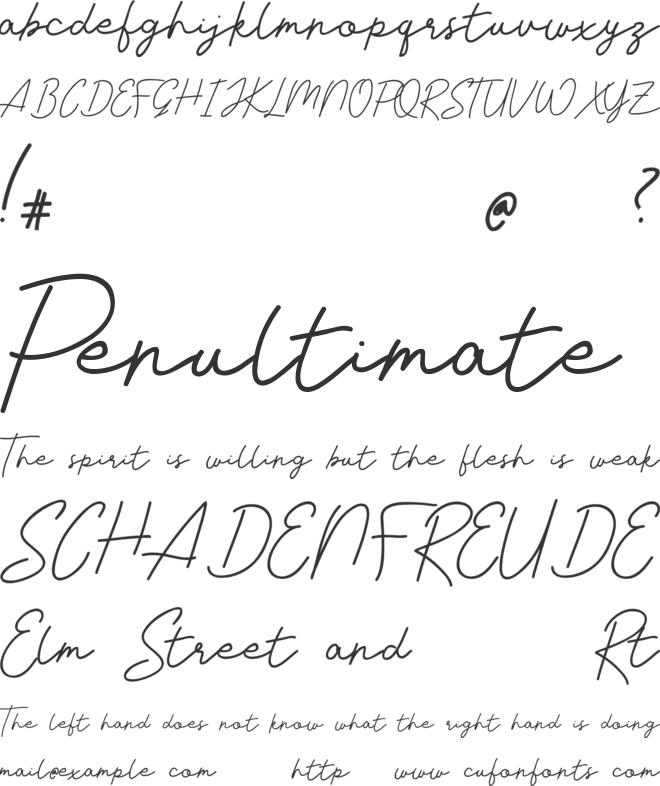 Livvie Signature font preview