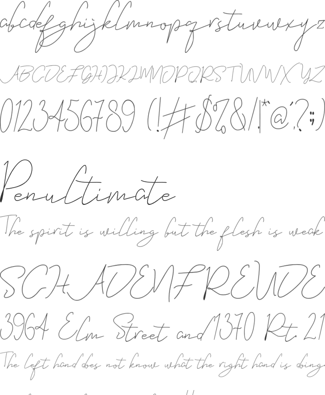 Eveline Cara font preview