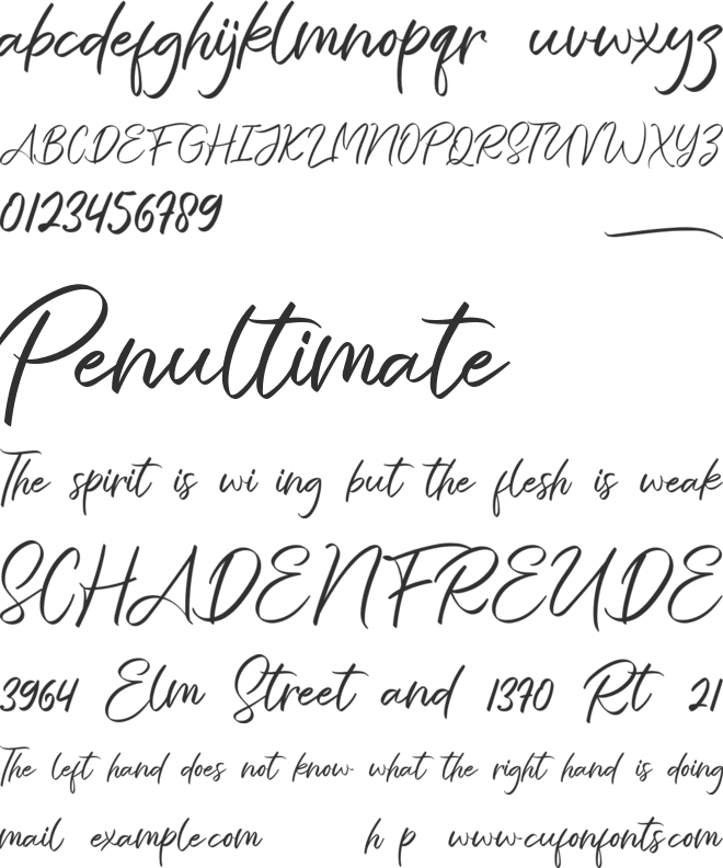 The Strength font preview