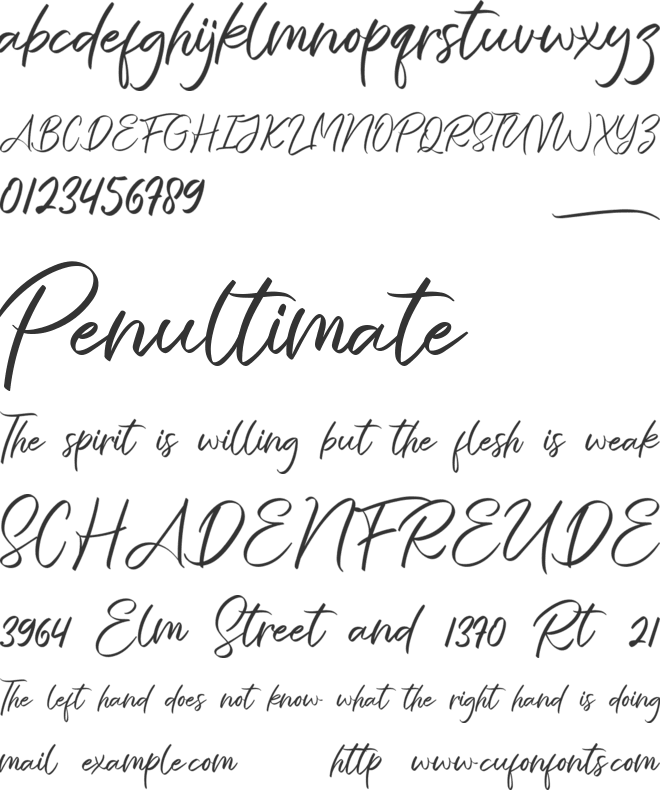 The Strength font preview