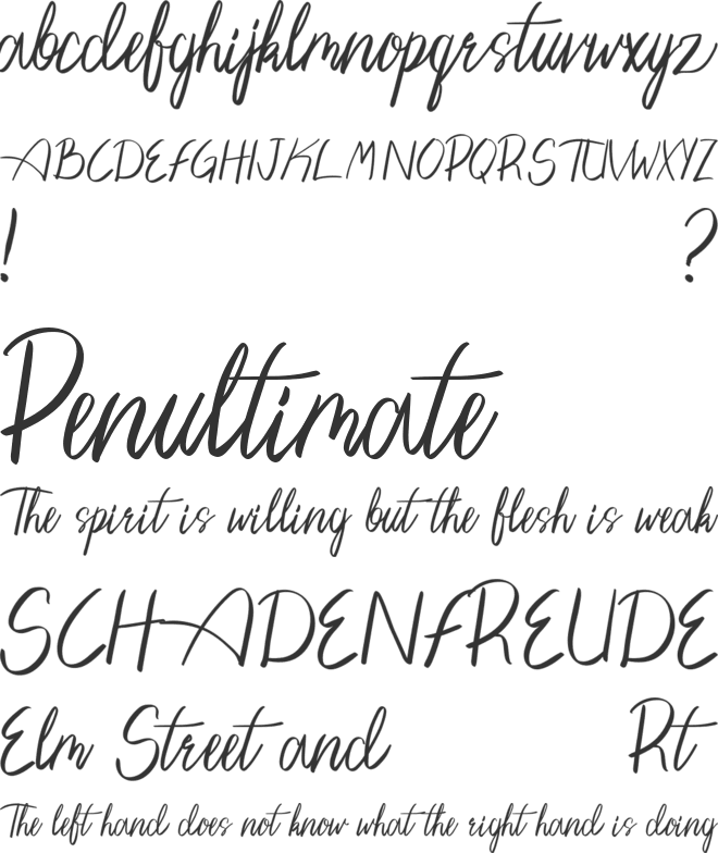 Pengiloon Script (DEMO VERSION) font preview