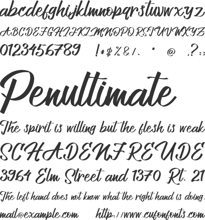 Allenattore font preview