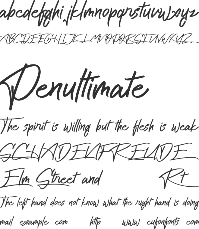 Cattily Demo font preview