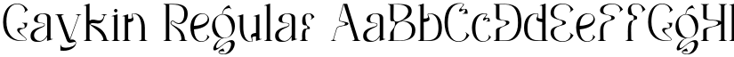 Gaykin font download