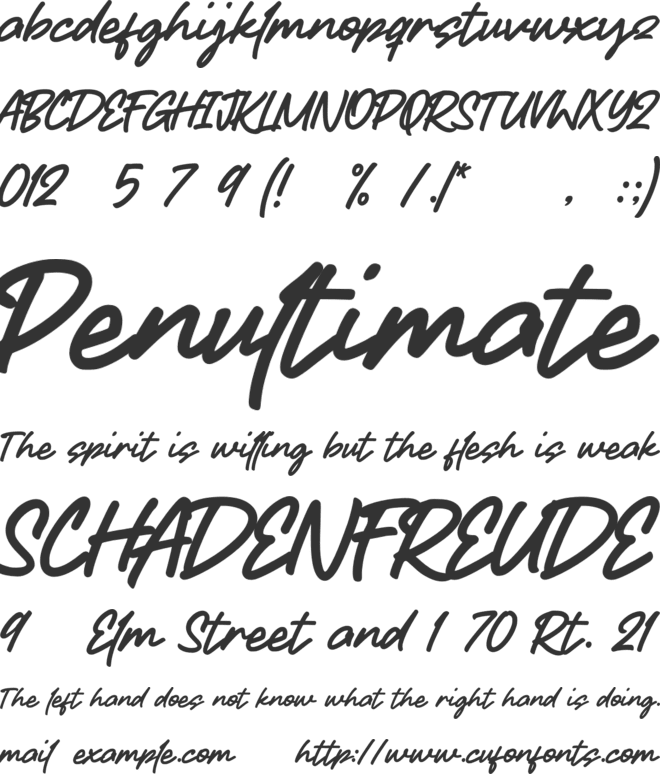 Which Is font preview