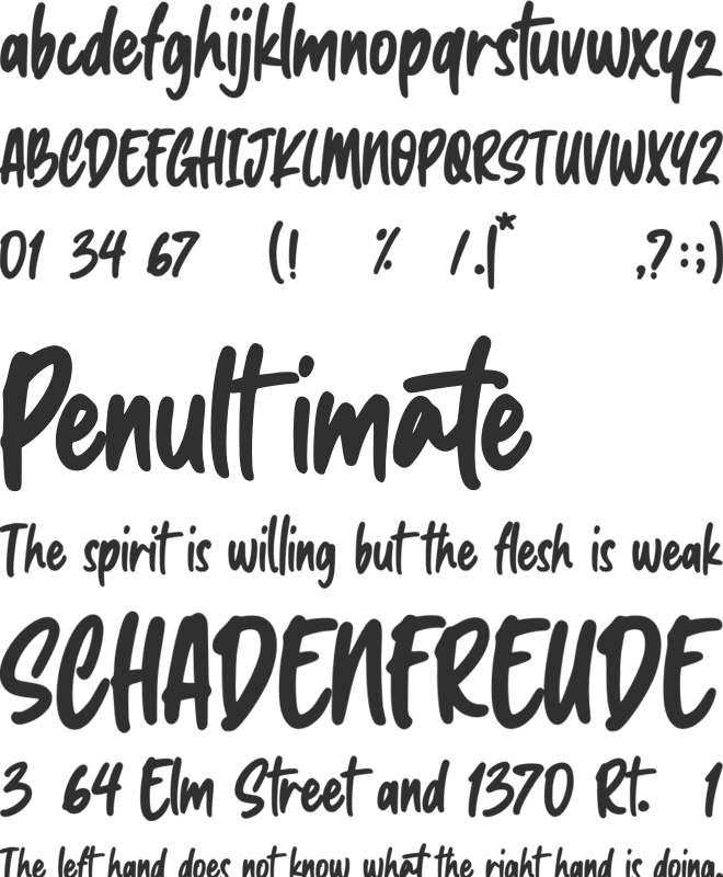 Morning Holiday font preview