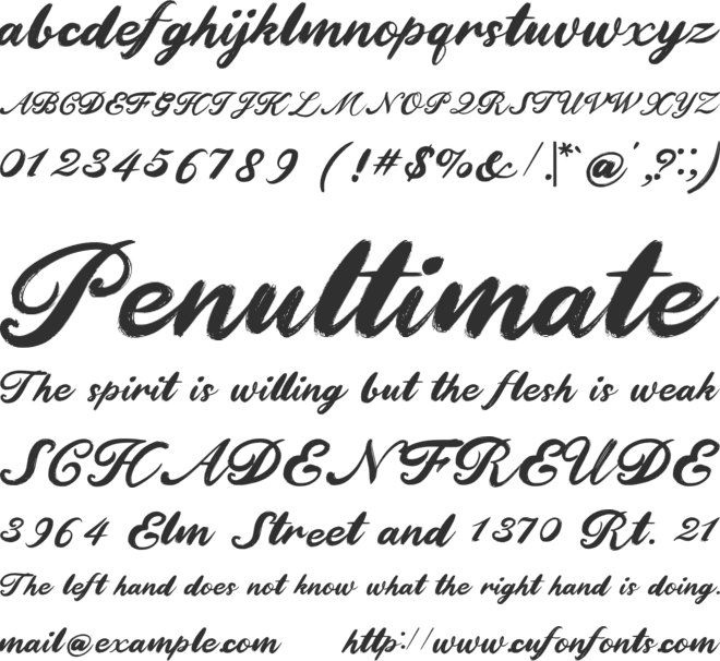 Brushtion font preview