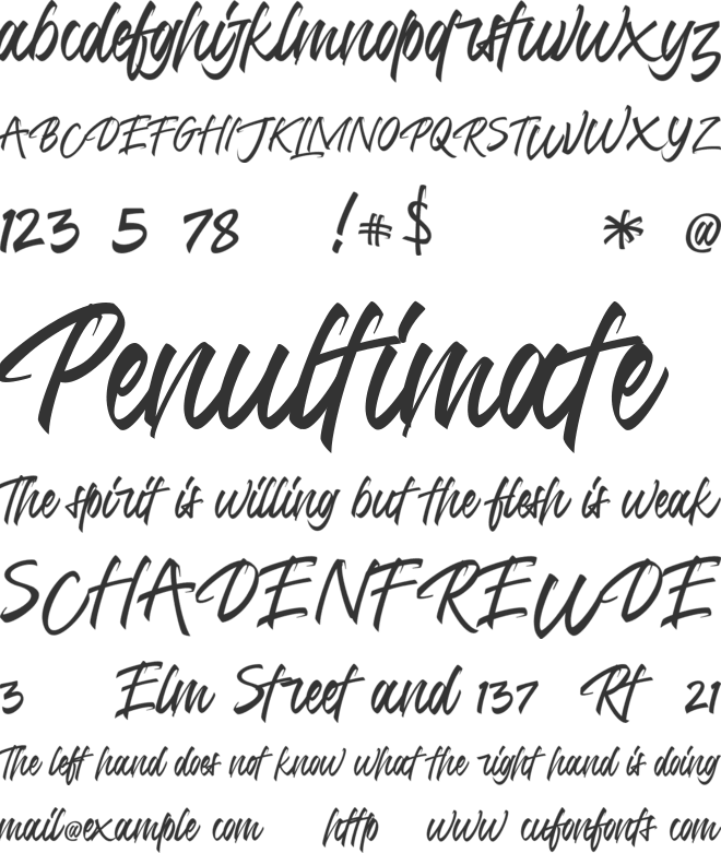 Jumps Steady font preview