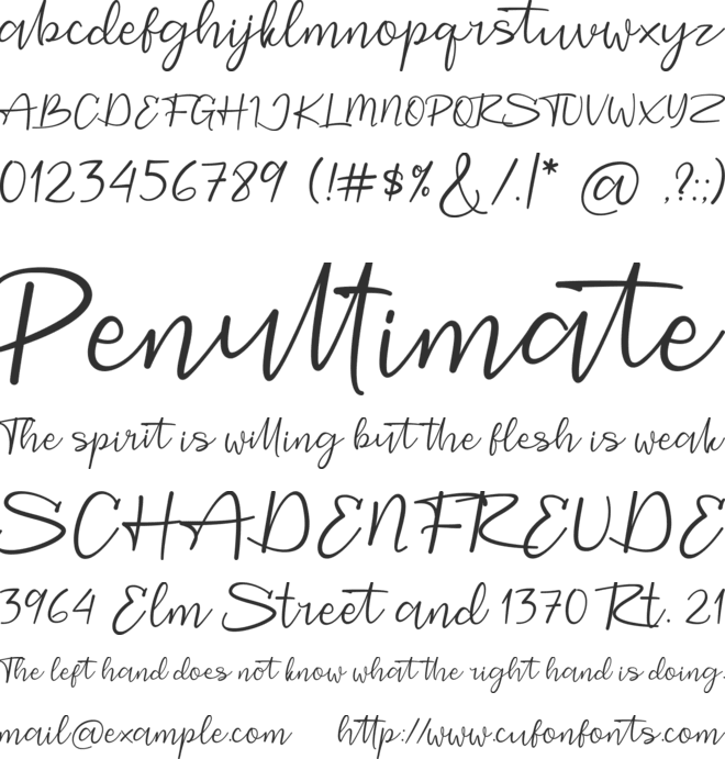 Starting DEMO font preview