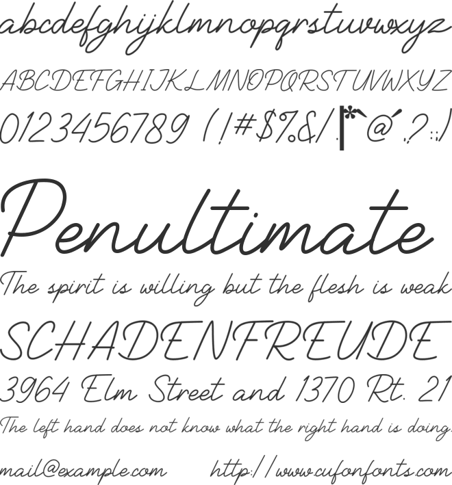 Stanford Signature font preview
