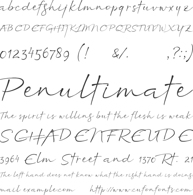 Northon DEMO font preview