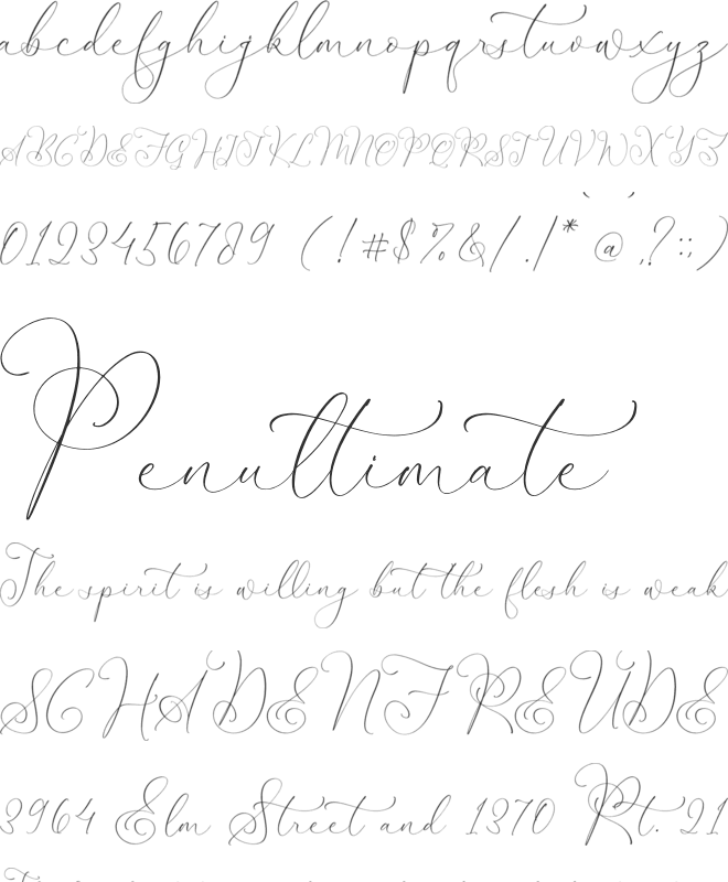 Senorytta font preview