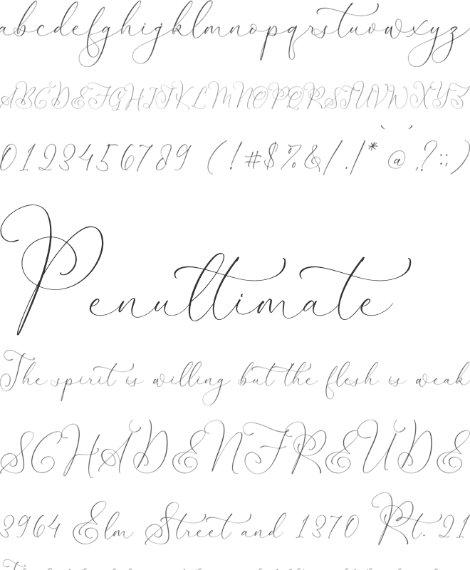 Senorytta font preview