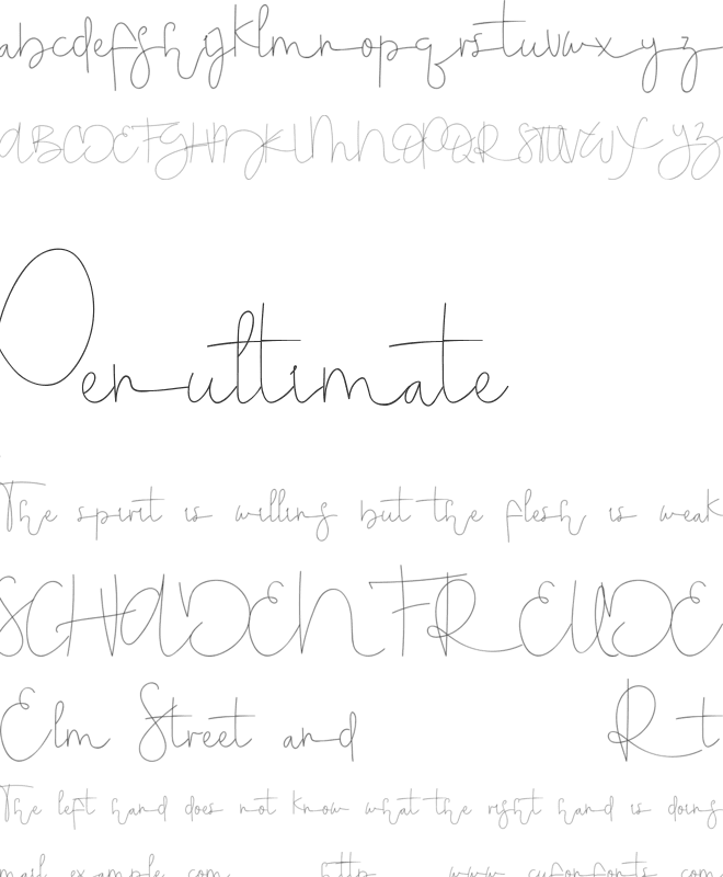 Serameyer Demo font preview