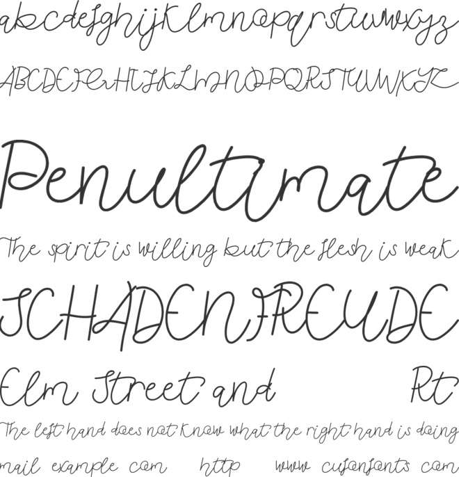 Anindya Meita Demo font preview