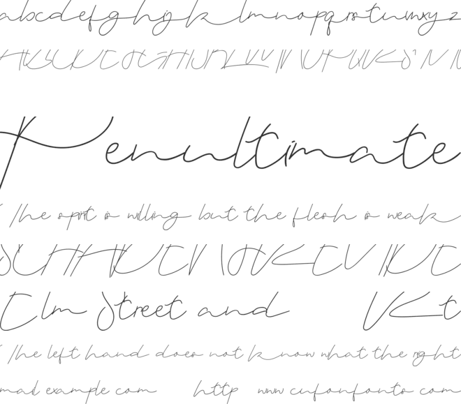 Zeanica Demo font preview