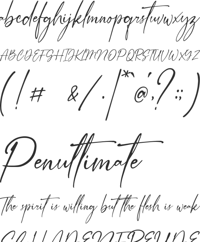 Anthery Collection DEMO font preview