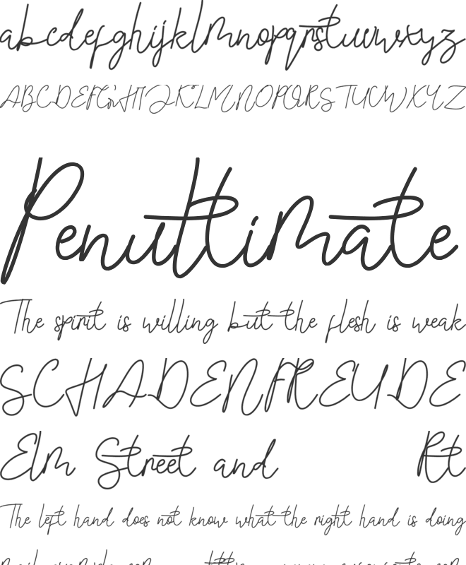 Shasine Time Demo font preview