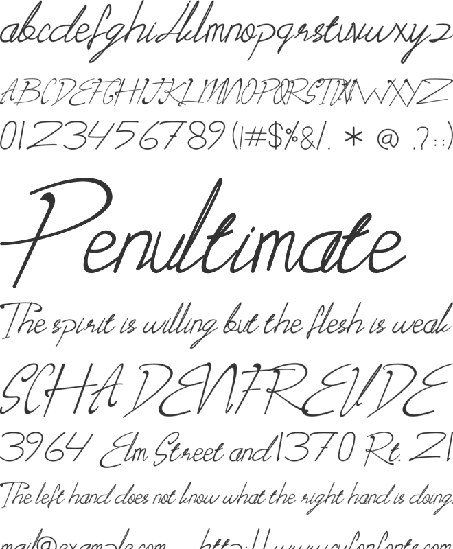 Maclaynt font preview