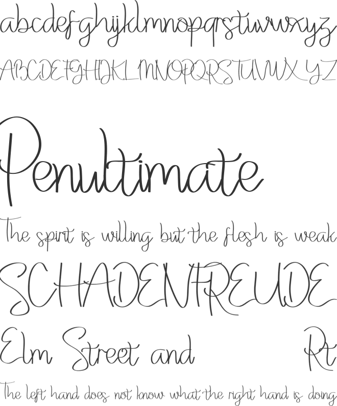 Washllo Demo font preview