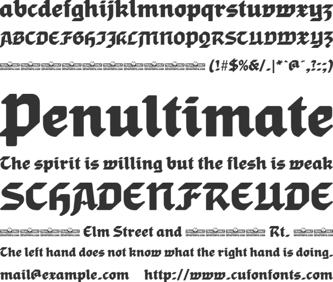 Gronau Trial font preview