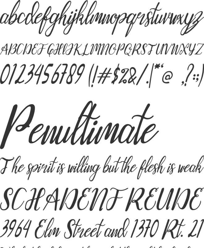 Boostany font preview