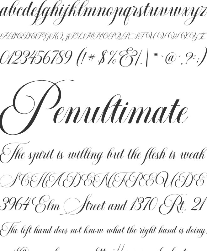 Moritza Script font preview