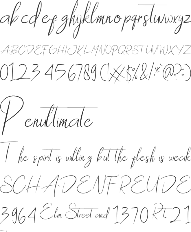 Waterman Barel font preview