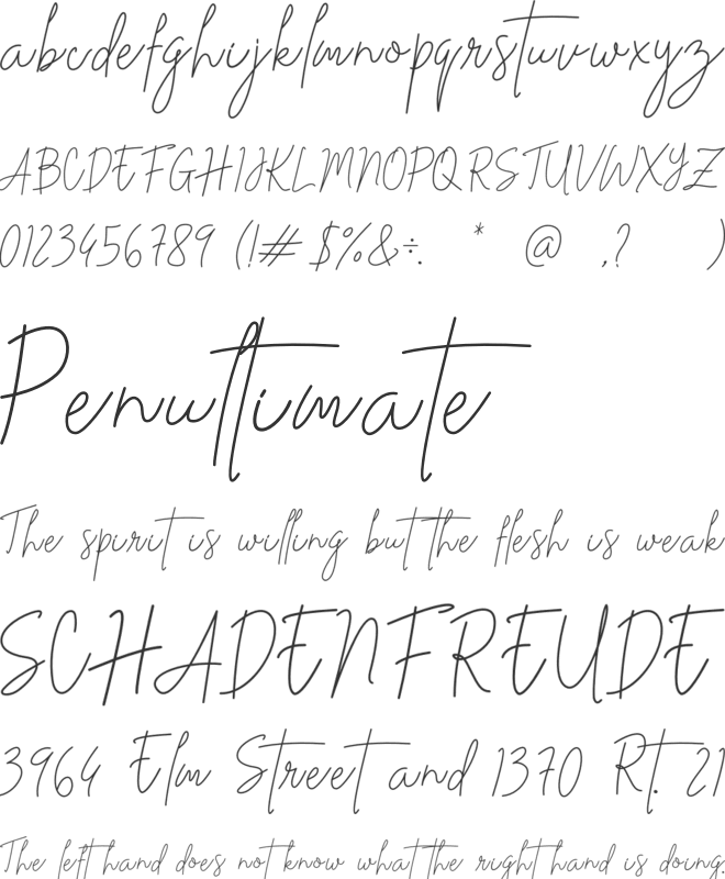 Stev Luts font preview