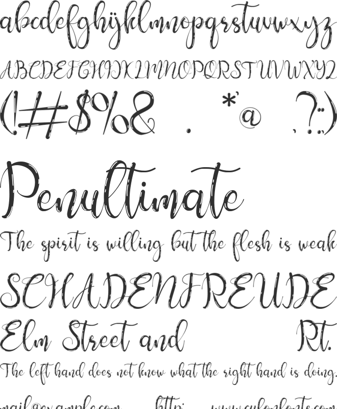 Sellena Brush font preview