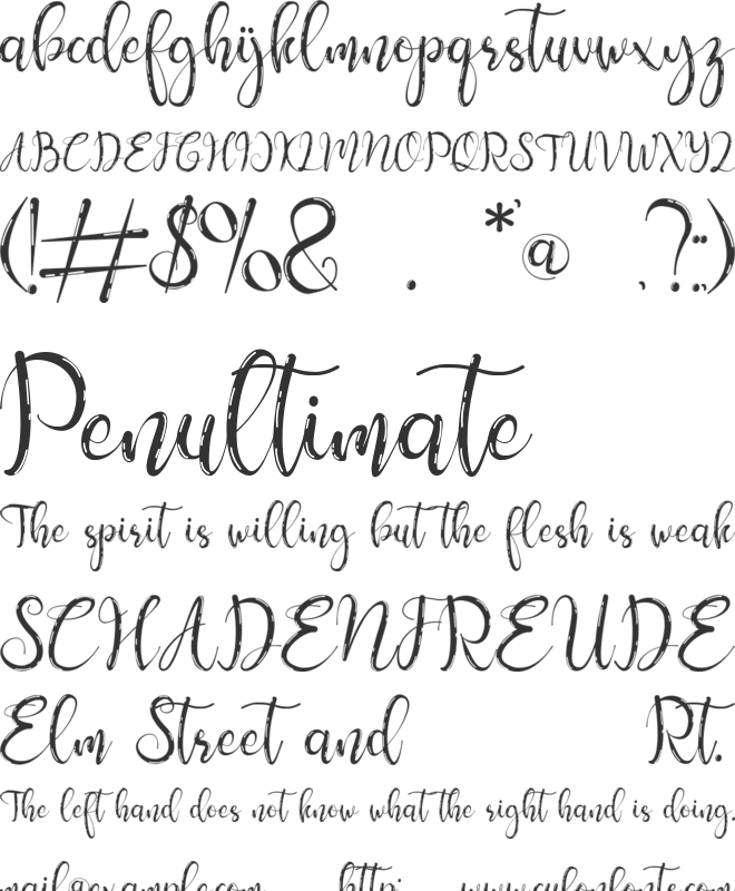 Sellena Brush font preview