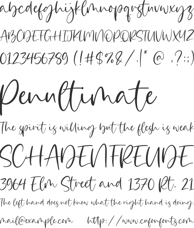 Bloomilife font preview