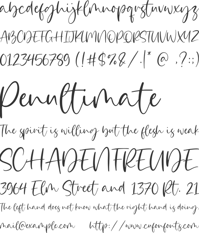 Bloomilife font preview