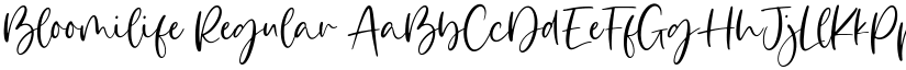 Bloomilife Regular font