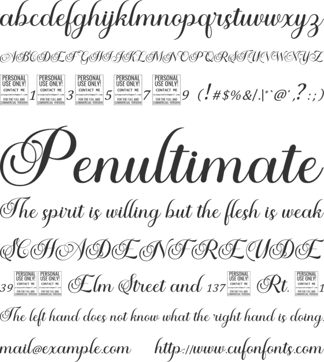 Autumn Flowers font preview