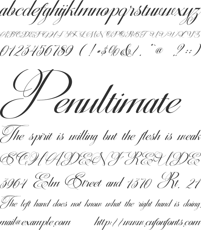 Christmas Calligraphy-Personal font preview