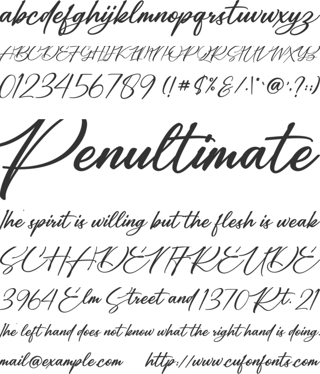 Alexandria Signature font preview