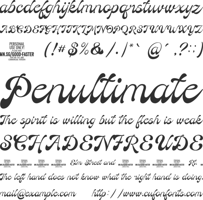 Good Faster PERSONAL USE font preview