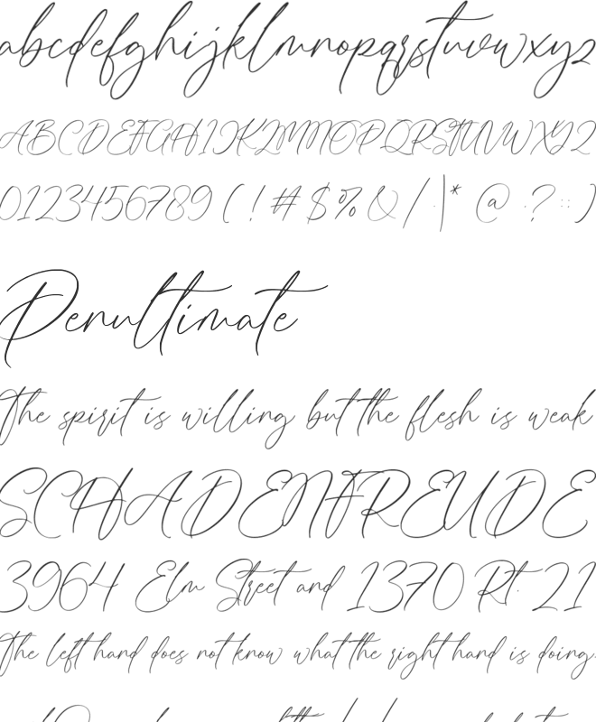 Bellowers font preview